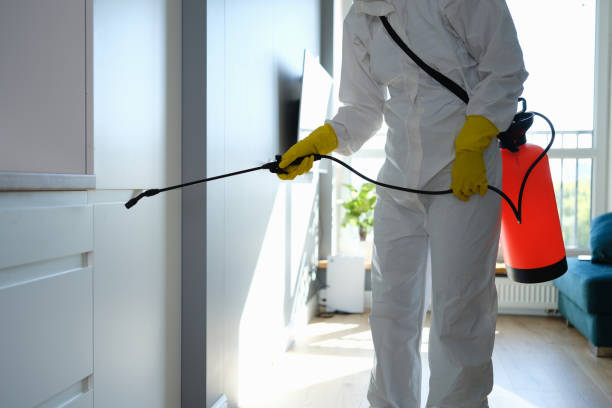 Home Mold Removal in Rutherford College, NC