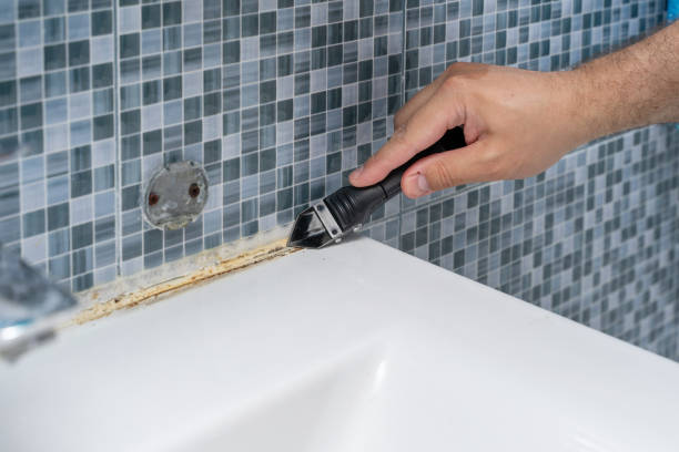 Best Mold Removal Specialists  in Rutherford College, NC